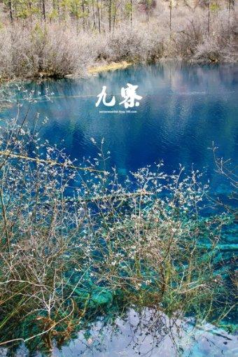 湖里交警 送交通安全“礼包”进社区